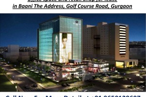 Pre Leased Property in Baani The Address Golf Course Road Gurgaon 